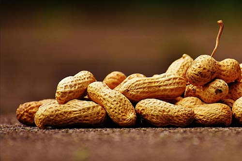 What if i ate nuts 2 days before colonoscopy what to do