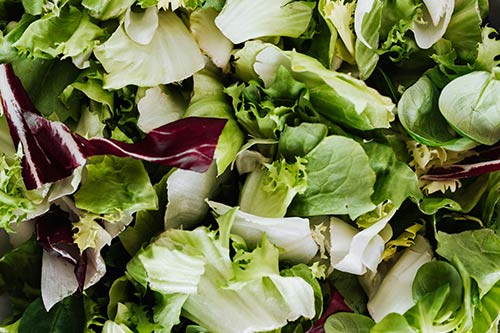 Avoid lettuce before your procedure
