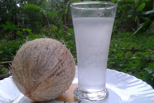Coconut water is great after a colonoscopy