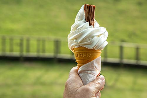 can i eat ice cream before a colonoscopy low fiber diet